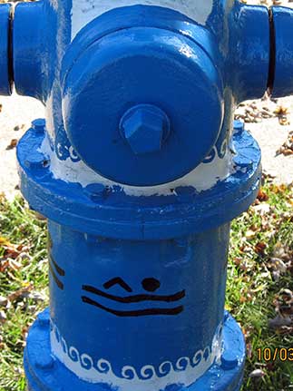 Swimmer- W. Vermont and North Harvard (2)